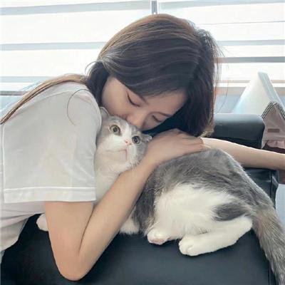 怪客临门